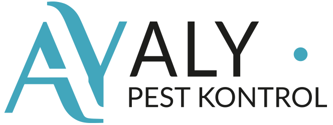 ALY Böcek İlaçlama - İstanbul Böcek İlaçlama - İstanbul Haşere İlaçlama