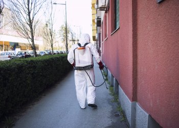 Evde Pire Sorunu ve Profesyonel İlaçlama: Larva Kontrolü ve İkinci Uygulama Neden Gerekir | İstanbul Haşere İlaçlama