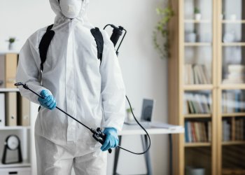 Gaziosmanpaşa’da Tahtakurusu Sorununa %100’e Yakın Etkili Isı ve Mineral Destekli Profesyonel Müdahale